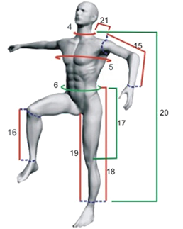 Custom Image 1